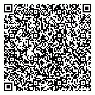 vCard 79335538663