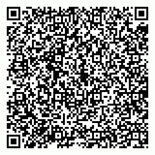 vCard 79335538688
