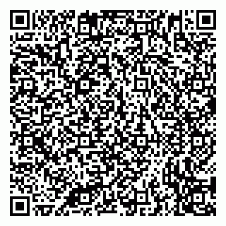 vCard 79335538699