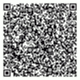 vCard 79335538702