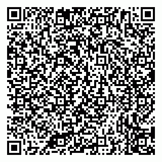 vCard 79335538705