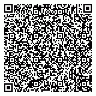 vCard 79335538711