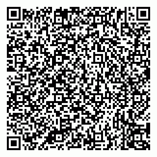 vCard 79335538714