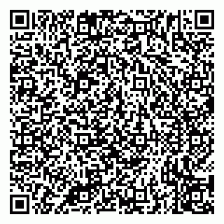 vCard 79335538718