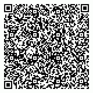 vCard 79335538719