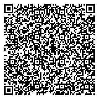 vCard 79335538721
