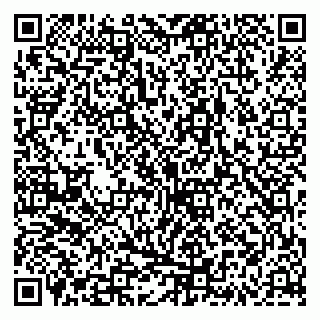 vCard 79335538723
