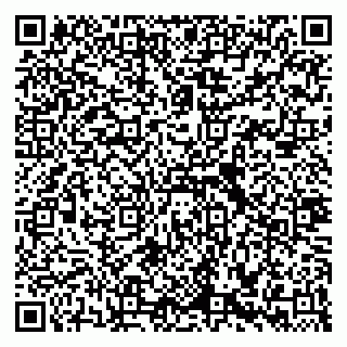vCard 79335538730