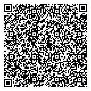 vCard 79335538731