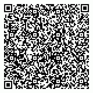 vCard 79335538735