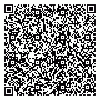 vCard 79335538737