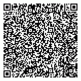 vCard 79335538738