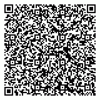 vCard 79335538750