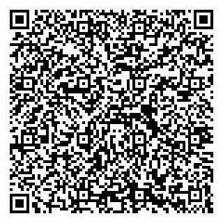 vCard 79335538755