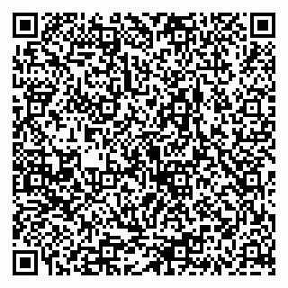 vCard 79335538773