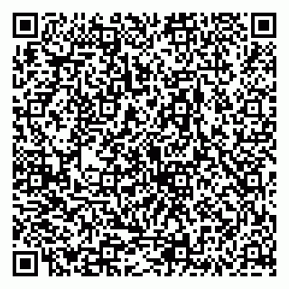 vCard 79335538784