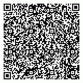 vCard 79335538787