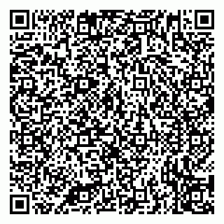 vCard 79335538799