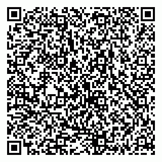 vCard 79335538802