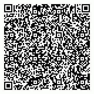 vCard 79335538816