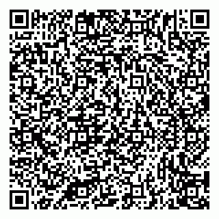 vCard 79335538817