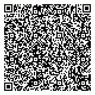 vCard 79335538819