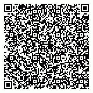 vCard 79335538822