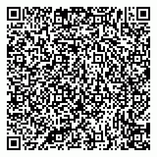 vCard 79335538837
