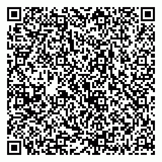 vCard 79335538853