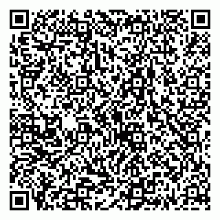 vCard 79335538857