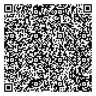 vCard 79335538859