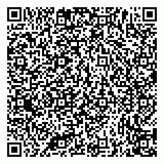 vCard 79335538867