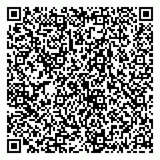 vCard 79335538881