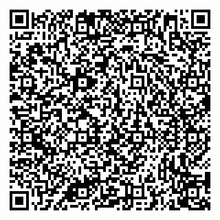 vCard 79335538884