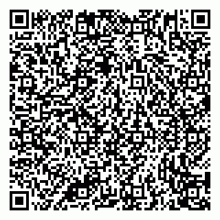 vCard 79335538891
