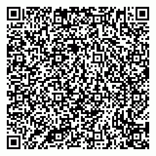 vCard 79335538898