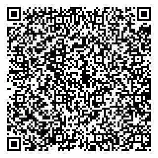 vCard 79335538901
