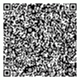 vCard 79335538905