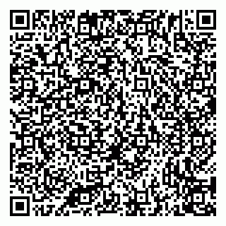 vCard 79335538910