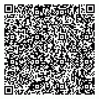 vCard 79335538913