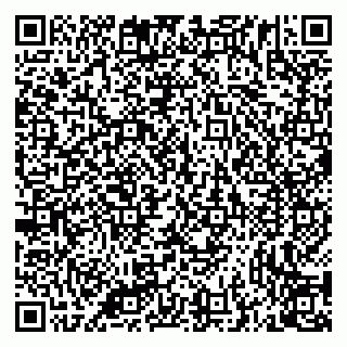 vCard 79335538915