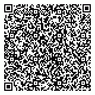 vCard 79335538920