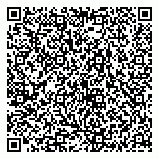 vCard 79335538921