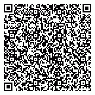 vCard 79335538923