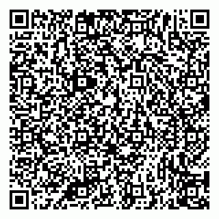 vCard 79335538927