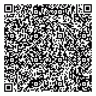 vCard 79335538931