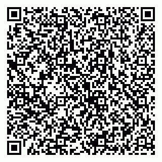 vCard 79335538938