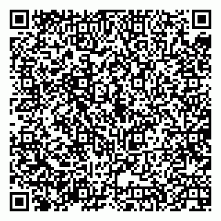 vCard 79335538939
