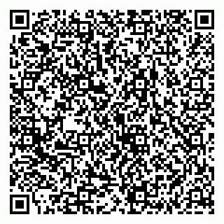 vCard 79335538940