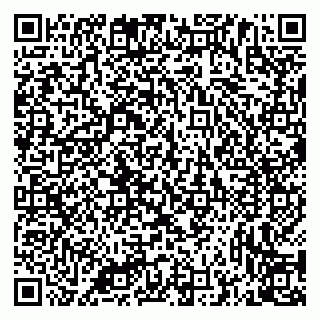 vCard 79335538943
